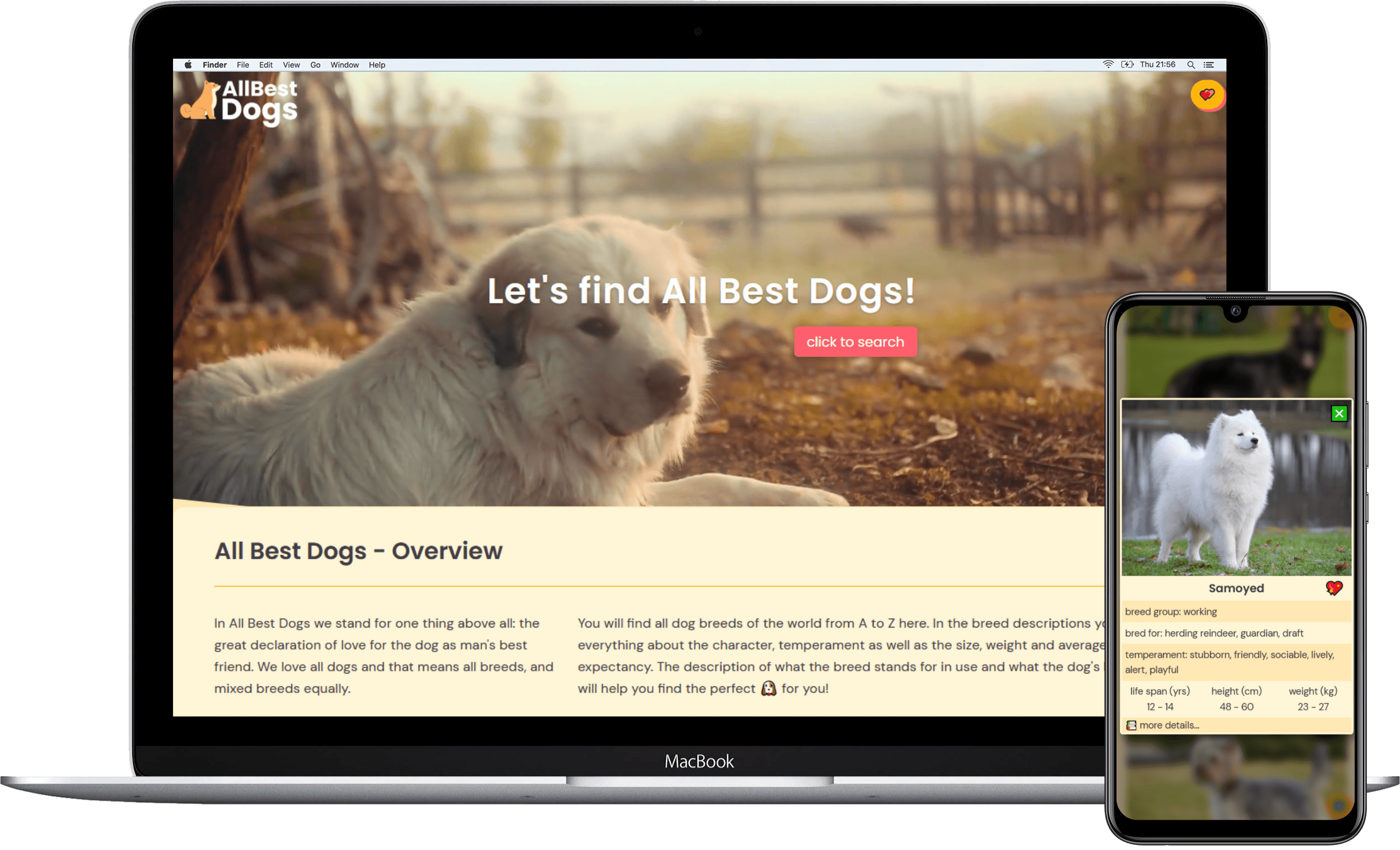 AllBest Dogs project image